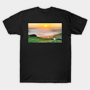 dog watching the sunrise at a misty Hope Valley, Castleton, Derbyshire,UK T-Shirt